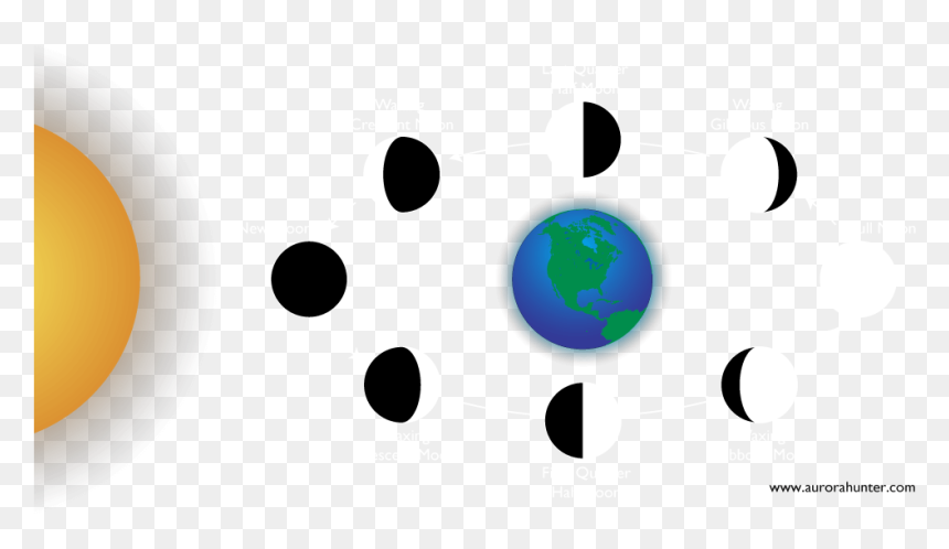 Moon Phases Png Around The Earth, Transparent Png - moon cycle png