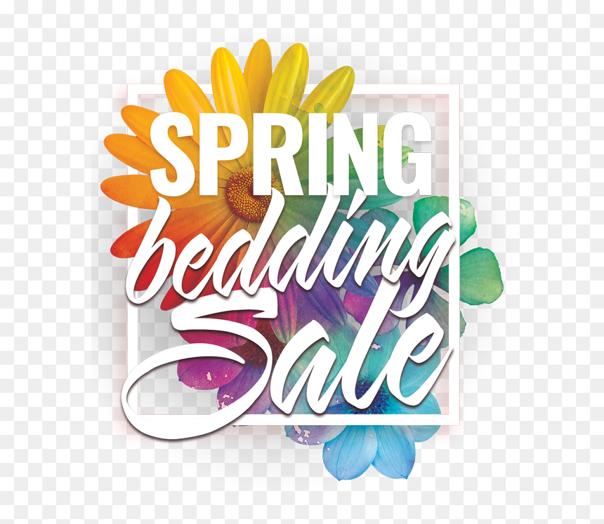 Calligraphy, HD Png Download - spring sale png