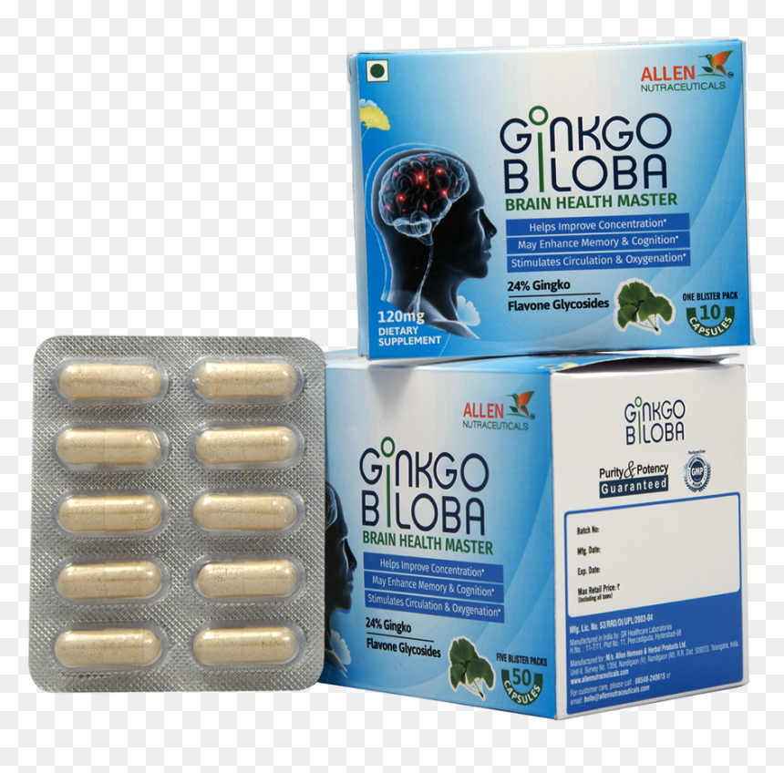 Carton, HD Png Download - ginkgo png