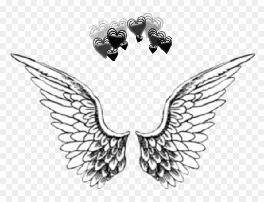 Transparent Wings Overlay, HD Png Download - alas vector png