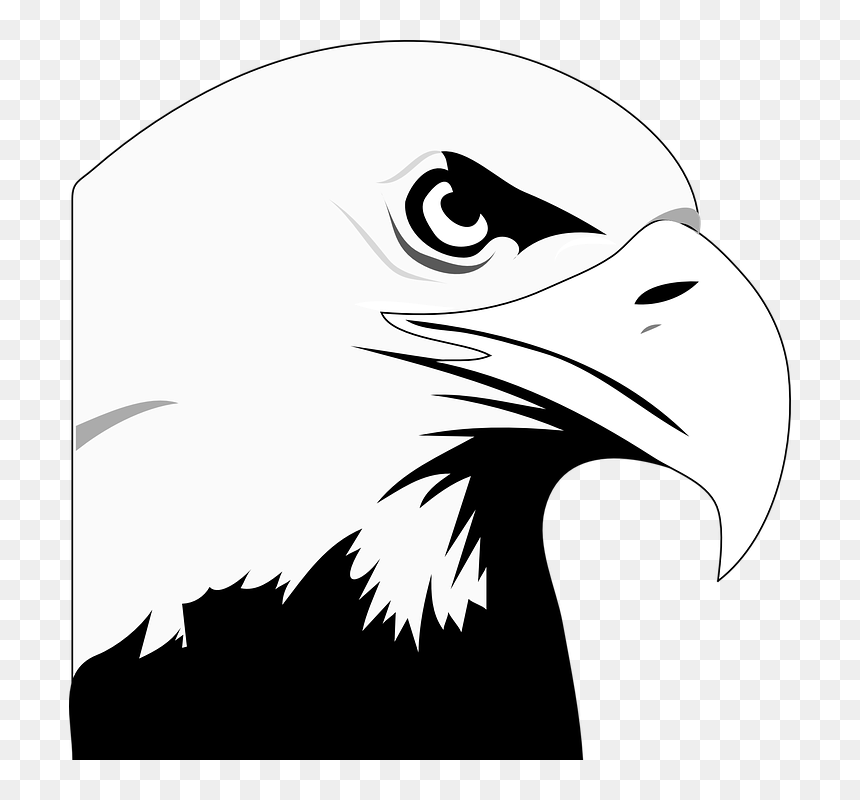 Bald Eagle Clipart, HD Png Download - eagle head vector png