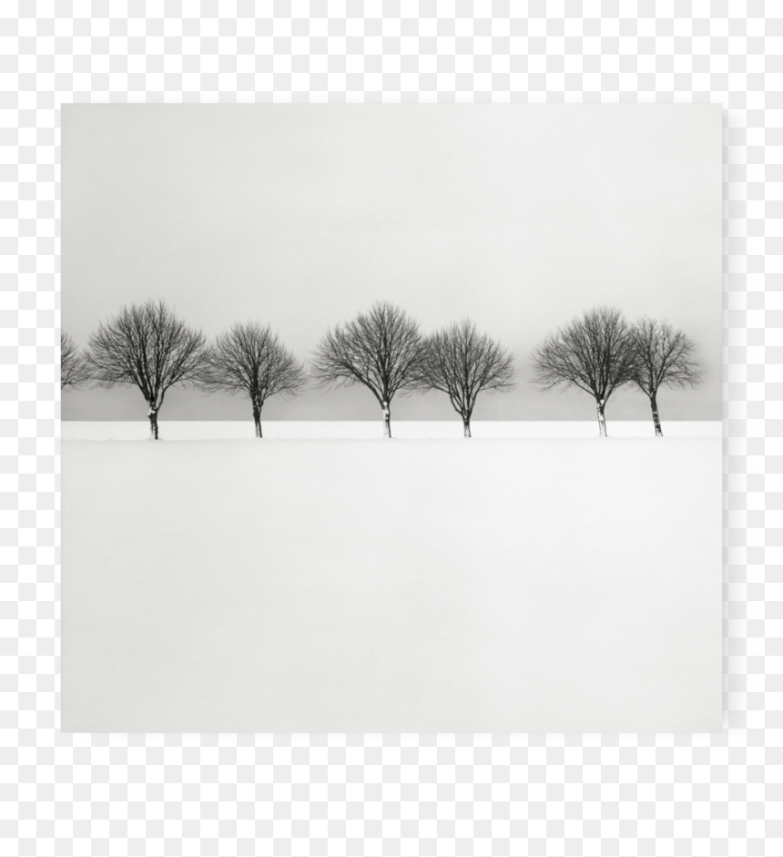 Monochrome, HD Png Download - winter scene png