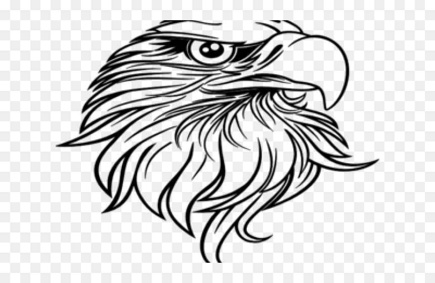 Eagles Black N White, HD Png Download - eagle head vector png