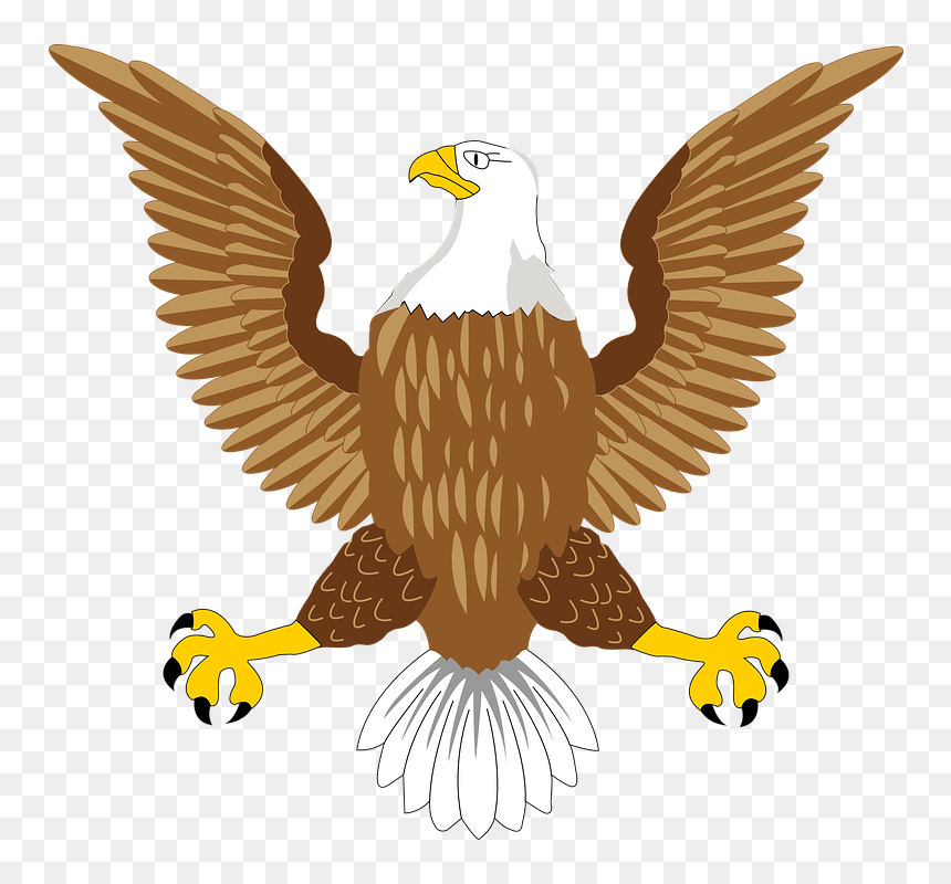 Pc Chandra Jewellers Necklace, HD Png Download - eagle head vector png