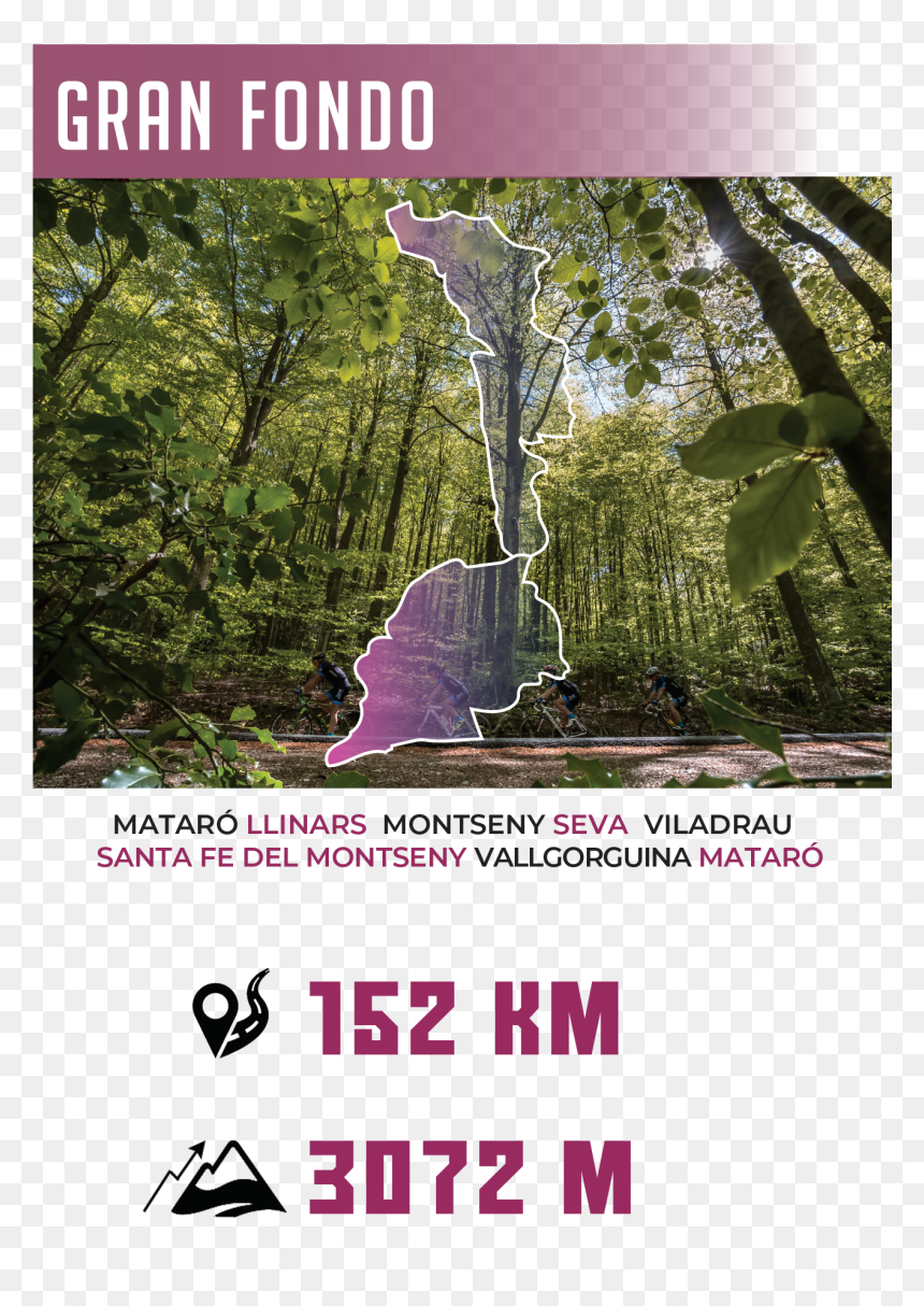 Rainforest, HD Png Download - fondo montañas png