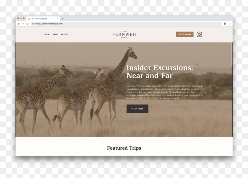 Giraffe, HD Png Download - broken pieces png