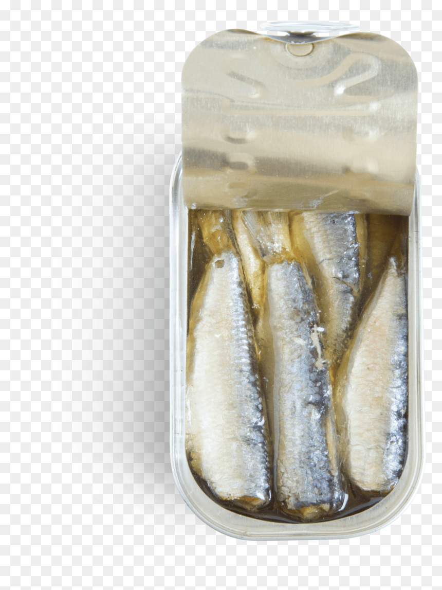Sardine, HD Png Download - sardines png