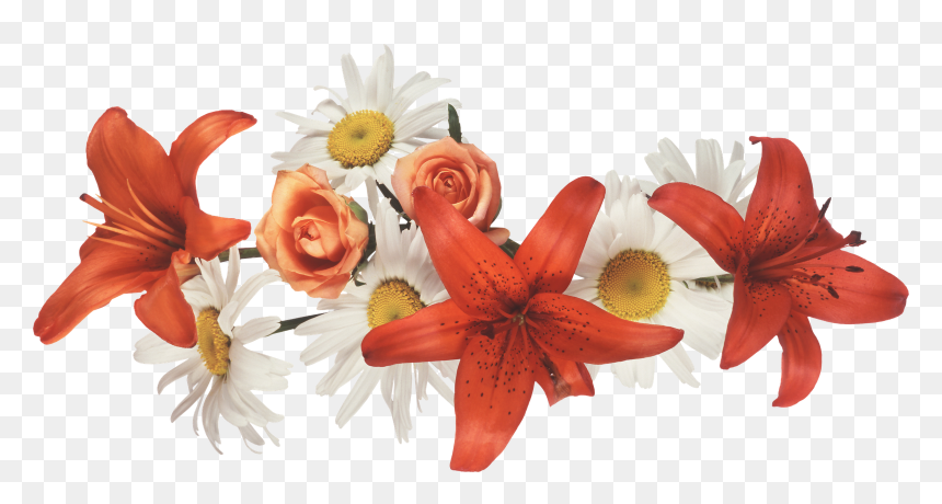 Coronas De Flores Png, Transparent Png - coronas de flores png