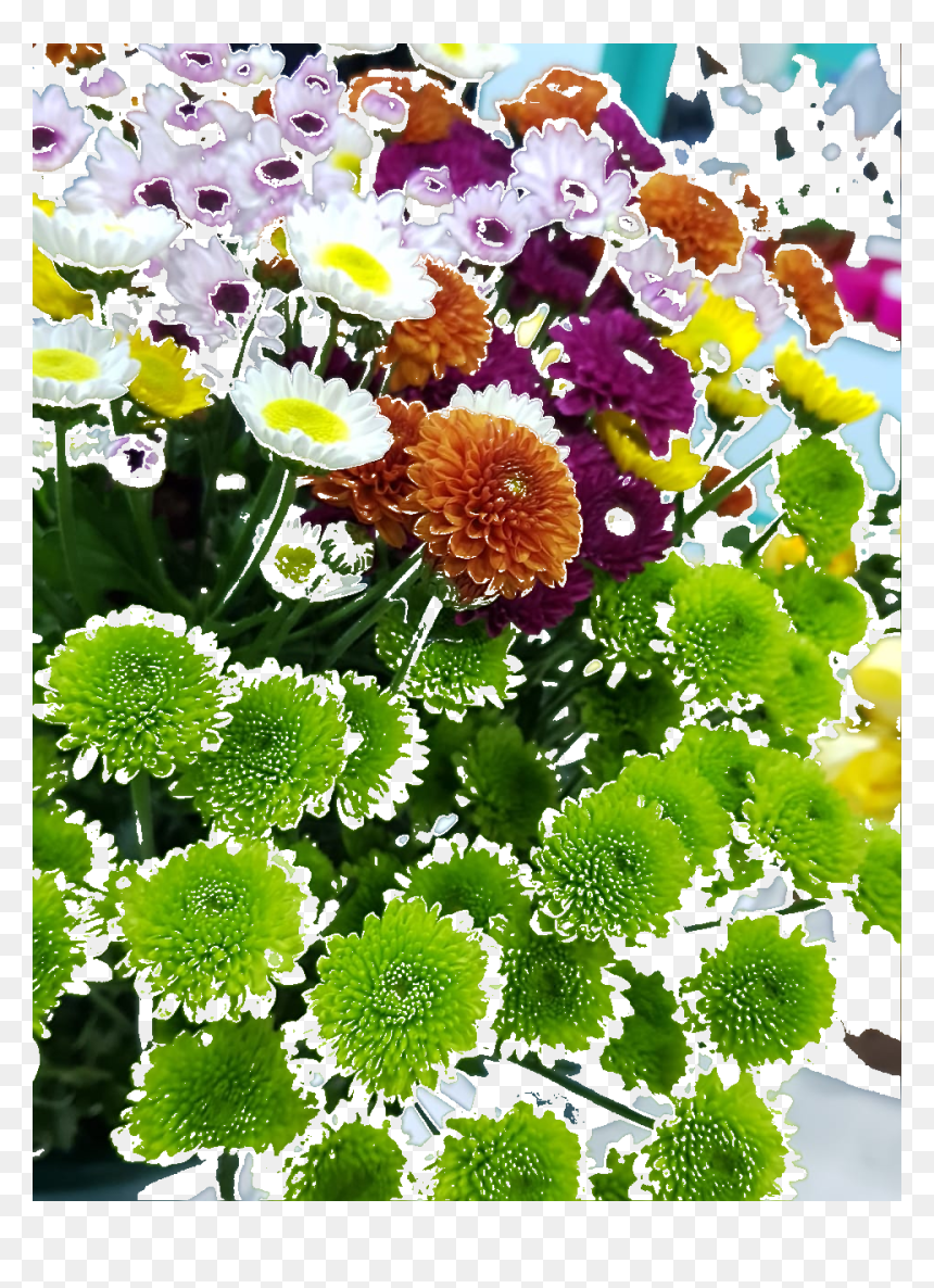 Chrysanths, HD Png Download - coronas de flores png