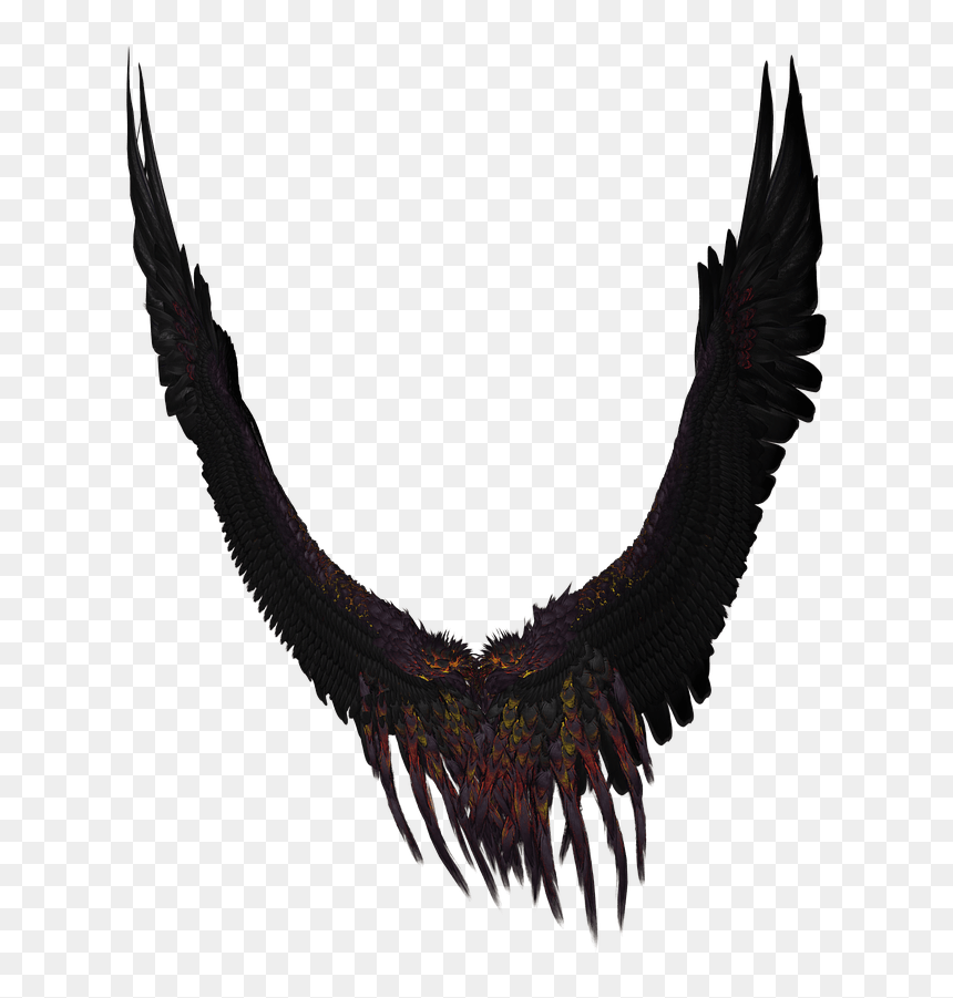 ทูต สวรรค์ ปีก, HD Png Download - your wings were ready png