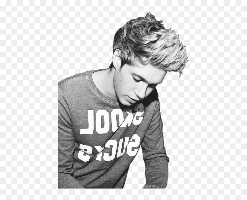 Niall Horan Png Black And White, Transparent Png - tumblr overlays png one direction