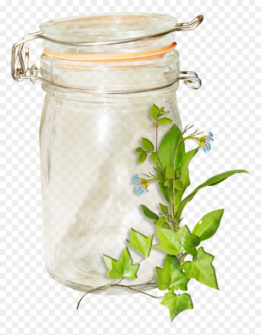 Flower, HD Png Download - mason jar .png