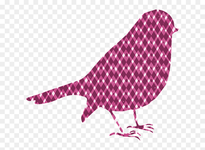 Silueta De Pajaritos Colores, HD Png Download - pajaritos png