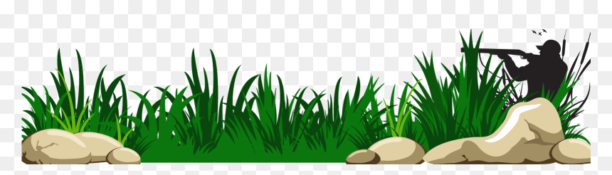 Transparent Background Grass Clipart, HD Png Download - grass png