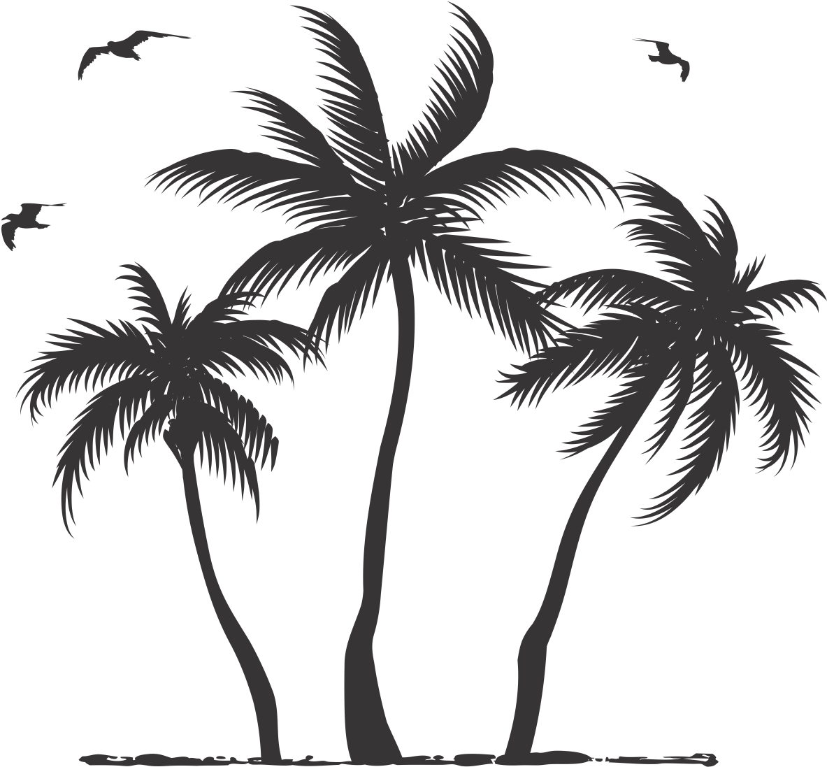 Download Palm Tree Silhouette Png, Transparent Png - vhv