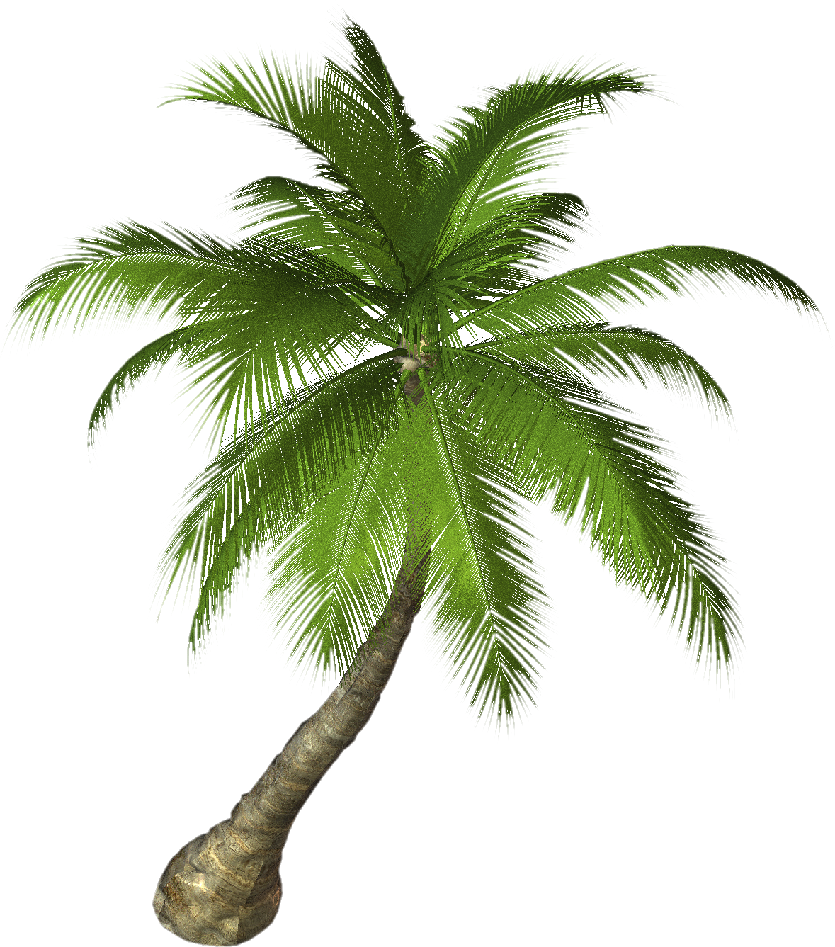 Download Palm Tree Png Free Images - Aesthetic Portfolio Websites ...